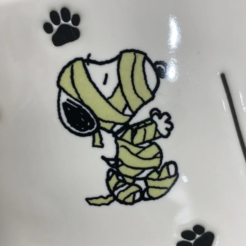 NWOT. Rae Dunn, ceramic dog bowl.